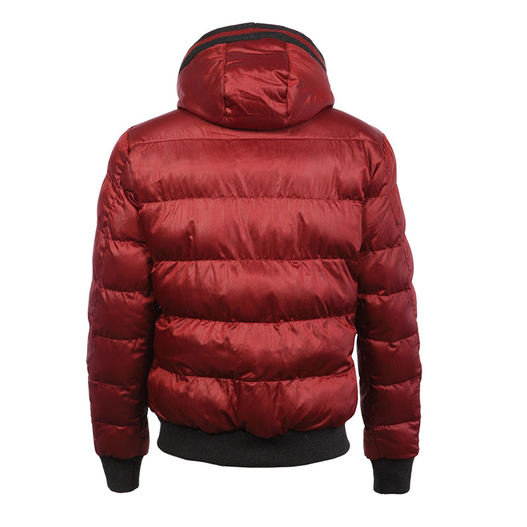 Padded Jacket With Hood