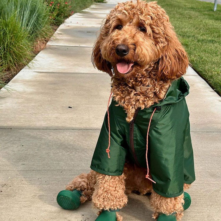 Waterproof Rain Jacket Dog