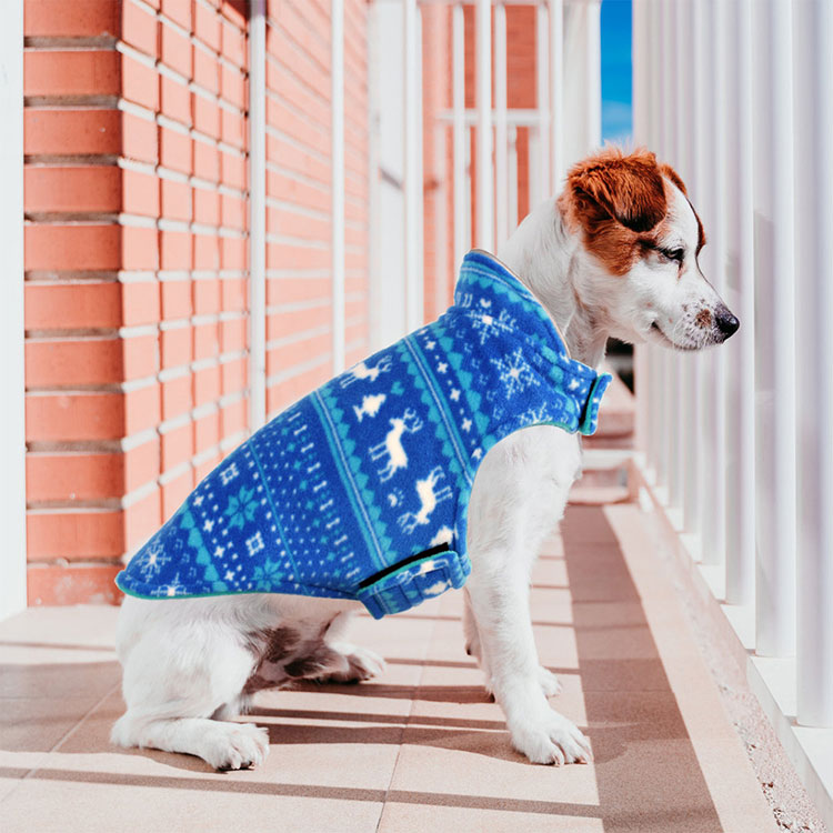 Polar Fleece Jacket Dog